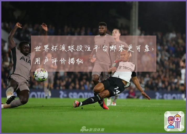 世界杯滚球投注平台哪家更可靠，用户评价揭秘