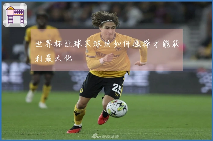 世界杯让球买球该如何选择才能获利最大化