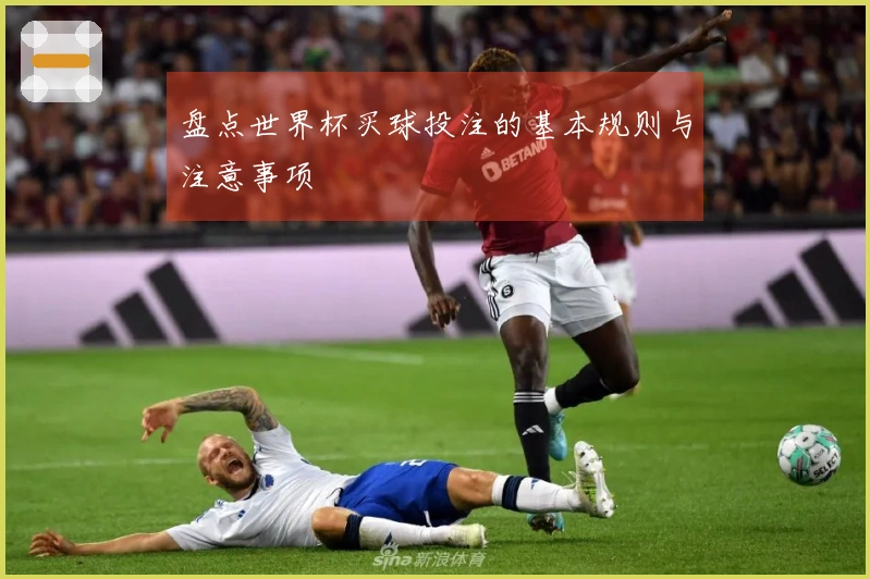 盘点世界杯买球投注的基本规则与注意事项
