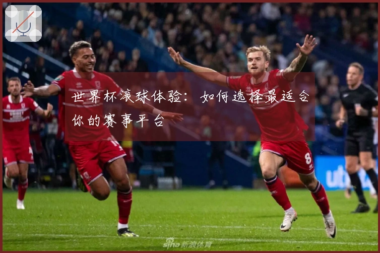 世界杯滚球体验：如何选择最适合你的赛事平台