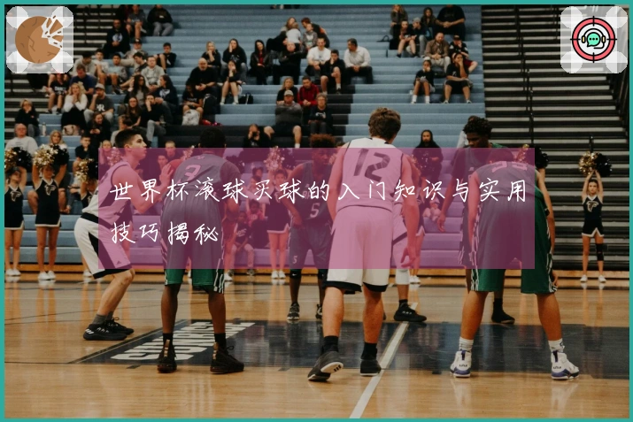 世界杯滚球买球的入门知识与实用技巧揭秘