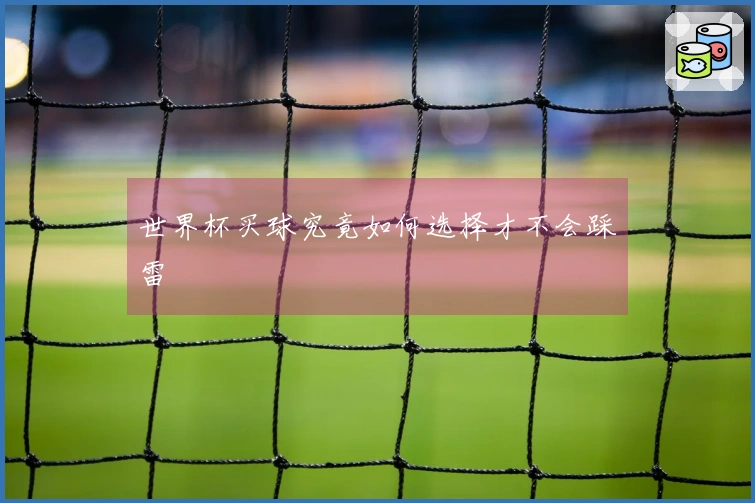 世界杯买球究竟如何选择才不会踩雷
