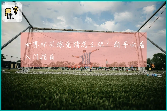 世界杯买球竞猜怎么玩？新手必看入门指南