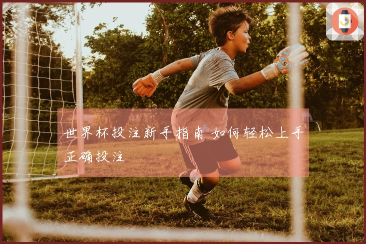 世界杯投注新手指南 如何轻松上手正确投注