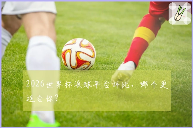 2026世界杯滚球平台评比，哪个更适合你？