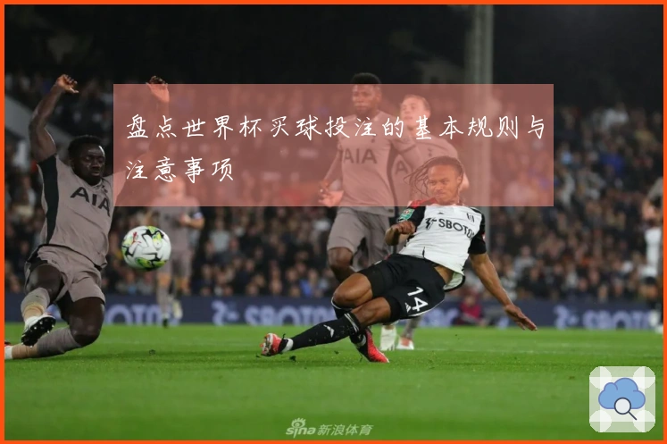 盘点世界杯买球投注的基本规则与注意事项