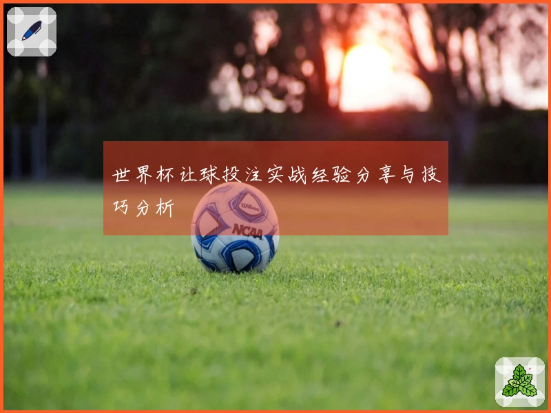 世界杯让球投注实战经验分享与技巧分析