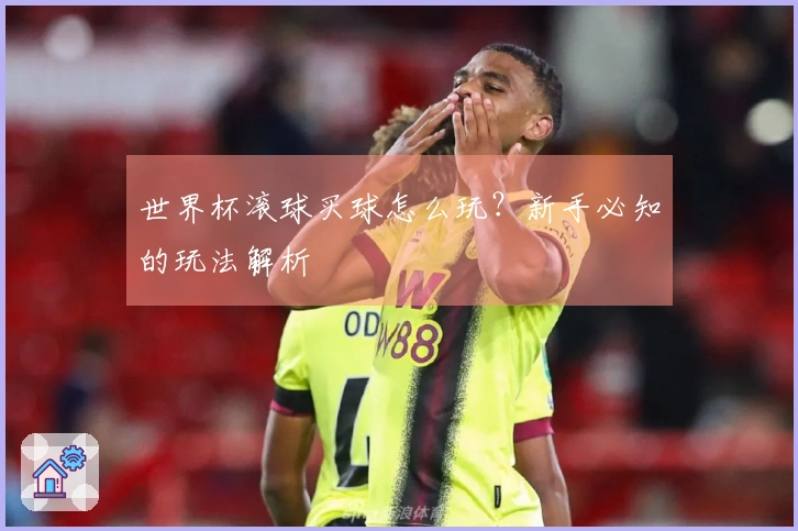 世界杯滚球买球怎么玩？新手必知的玩法解析