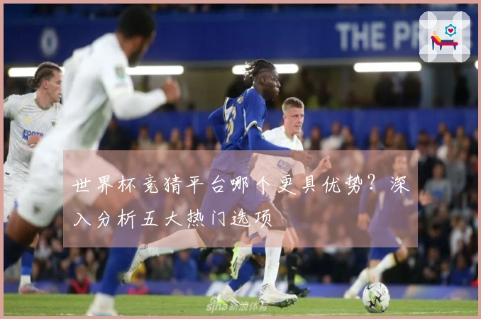 世界杯竞猜平台哪个更具优势？深入分析五大热门选项
