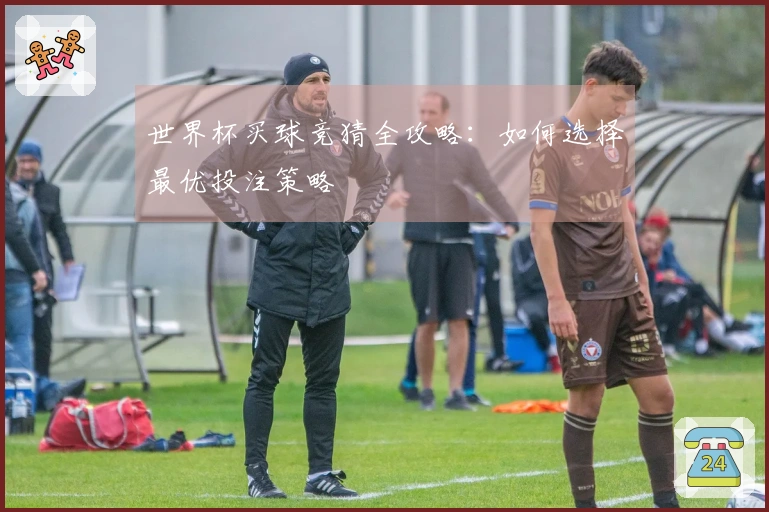 世界杯买球竞猜全攻略：如何选择最优投注策略