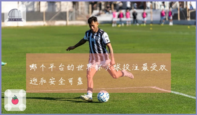 哪个平台的世界杯买球投注最受欢迎和安全可靠