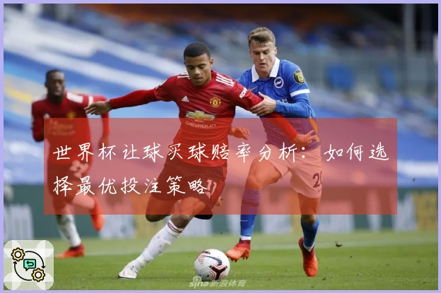 世界杯让球买球赔率分析：如何选择最优投注策略