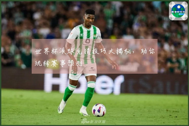 世界杯滚球竞猜技巧大揭秘，助你玩转赛事预测